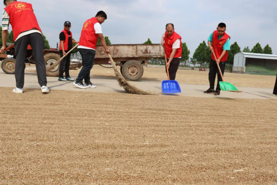 6.2展現國企責任擔當 全力助民搶收夏糧(新聞稿)206.png 6.2展現國企責任擔當 全力助民搶收夏糧(新聞稿)206.png